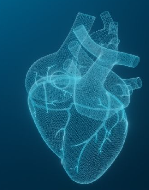 Cardiology